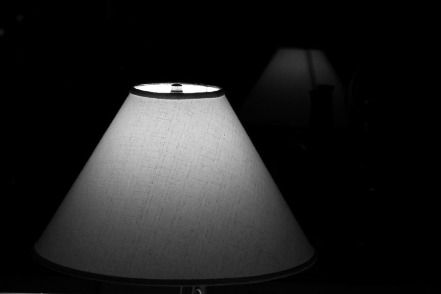 2010 01 10 IMG 6247